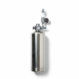 Wyin Aqua Citric Acid CO₂ System – Stainless Steel 2L Complete Kit