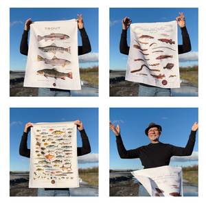 Posters Tea Towels T Shirts Aprons: Set of thee iconic New Zealand teatowels special bundle save $24.00