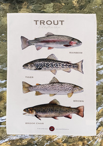 Trout of Aotearoa Tea towel