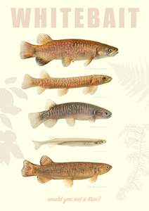 Castlepoint Beach Horse Race: Whitebait print 'Would you eat a Kiwi'