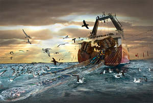 Castlepoint Beach Horse Race: Amaltal Columbia