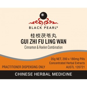 Products: Gui Zhi Fu Ling Wan – The Art of Chinese Herbal Medicine