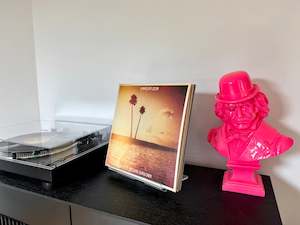Accessories: Vinyl Record Cover Stand Display