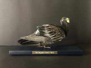 Antionette Ratcliffe: The Magnificent Common Pigeon - Bread