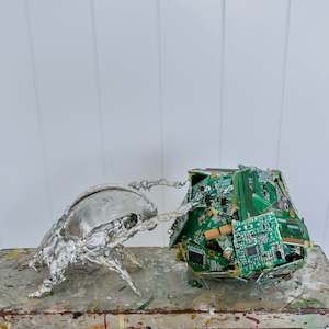 Phil Hannagan: Dung Beetle