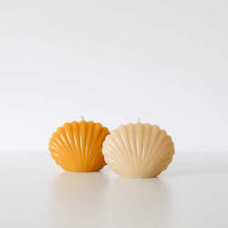 Nz Beeswax Candles: Scallop Shell Beeswax Candles