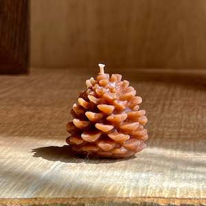 Mini Pinecones