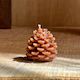Mini Pinecones