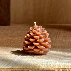 Mini Pinecones