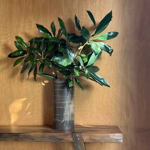Large Beeswax Vase