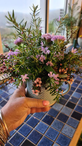 Mug Posy -$45 The Barefoot Florist