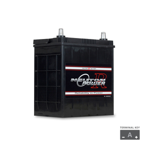 Products: NP REVOLUTION NS40L Maintenance Free Automotive Battery 330CCA - The Battery Cell