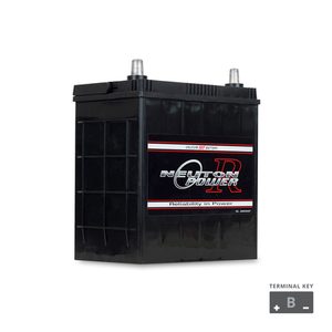 NP REVOLUTION NS40 Maintenance Free Automotive Battery 330CCA - The Battery Cell