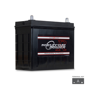 NP REVOLUTION NS60L Maintenance Free Automotive Battery 450CCA - The Battery Cell