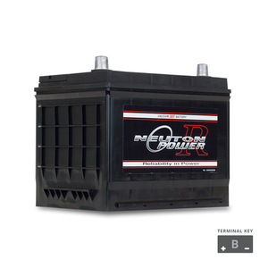 NP REVOLUTION N50 Maintenance Free Automotive Battery 650CCA - The Battery Cell