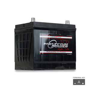 Products: NP REVOLUTION 55D23L Maintenance Free Automotive Battery 600CCA - The Battery Cell