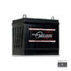 NP REVOLUTION 55D23R Maintenance Free Automotive Battery 600CCA - The Battery Cell
