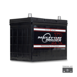 Products: NP REVOLUTION NS70 Maintenance Free Automotive Battery 700CCA - The Battery Cell