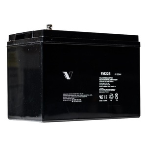 6 volt 225amp AGM Cycling Battery VFMR225 - The Battery Cell