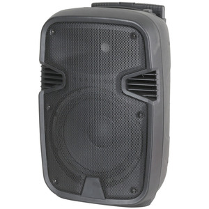 Products: Portable 10 inch PA Active Speaker - The Battery Cell