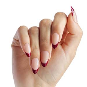 Nails And Treatments: Salon Acrylic French Colour - Catchy