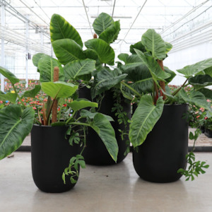 Planters Pots: ORETI PLANTER | 3 SIZES | WHITE, BLACK OR WEATHERED CEMENT