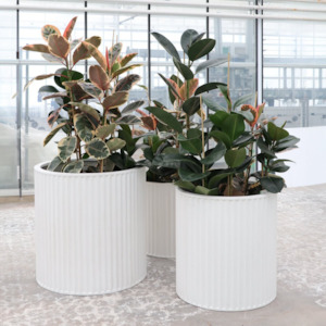 Planters Pots: PIAKO RIBBED CYLINDER PLANTER | 3 SIZES | BLACK, WHITE OR WEATHERED CEMENT
