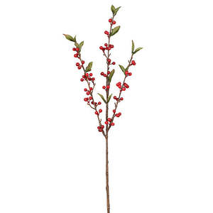 All Things Christmas: Cranberry Spray | Red