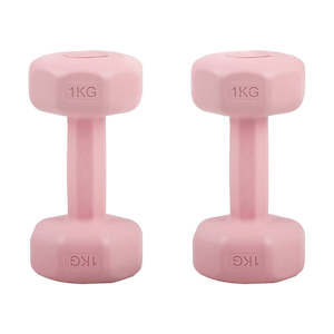 2 Pink Dumbbells Set - 1kg each