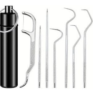 Personal Care: 7 pcs. Pocket Toothpick Set in Stainless Steel with Portable Holder
