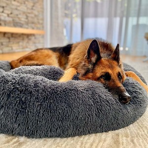 Dog Beds: Brooklyn® Deep Sleep Pet Bed