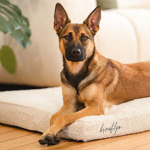 Dogs: Brooklyn® Chew Resistant Boucle Cover