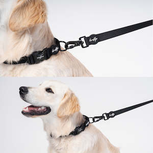 Dog Walking Set: Brooklyn® Featherlight Dog Leash