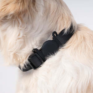Dog Walking Set: Brooklyn® AirTag Holder for Collars