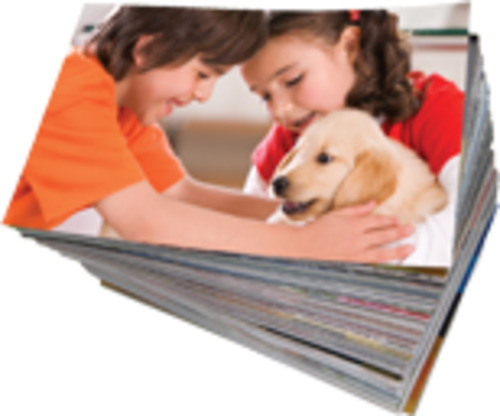 All: 12x18 Photographs