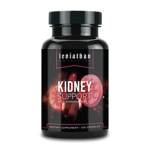 Kidney Support // Kidney & Bladder Support