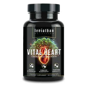 Vital Heart // Cardiovascular Health