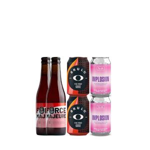 Fruit Sour Beer Bundle