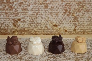 Products: Honey Chocolates 6 Pack - The Chocolate Room