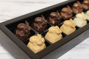Products: Honey Chocolates 12 Pack - The Chocolate Room
