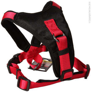 dogwalking: Pet One Comfy Padded Harness 38 To 46 Centimeters Adjustable Black Red