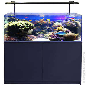 aquariums: Aqua One AquaReef Mini 120 Marine Aquarium Set 120 Litres Black