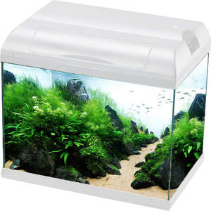 aquariums: Aqua One EcoStyle 61 Rectangular Aquarium White 70L