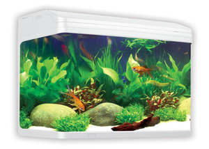 Aqua One AR620 AquaStyle Tank Gloss White 90L For Freshwater