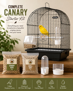 Products: Complete Canary Starter Kit with Male Singing Canary and Cage