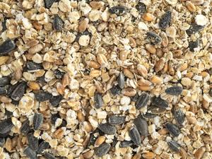 Topflite Hen Health Tonic