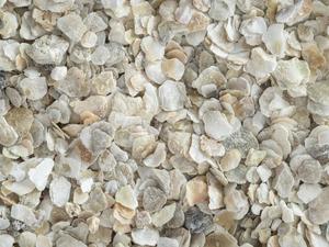 birdfeeding: Topflite Oyster Shell Coarse Grit
