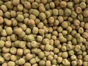 Topflite Maple Peas
