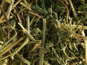 Topflite Lucerne Hay