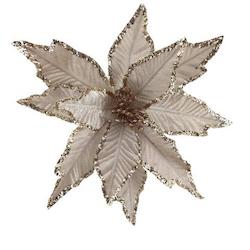 Wreaths Garlands And Flora: Champagne Poinsettia